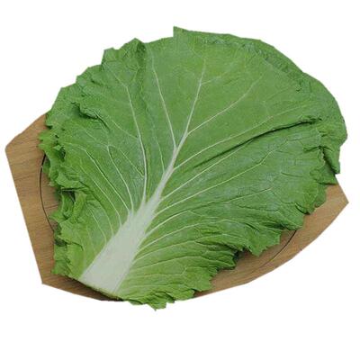 东北白菜叶饭包叶新鲜现摘