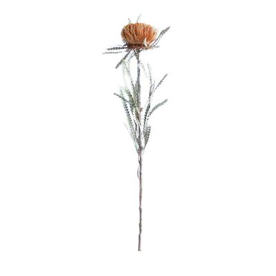 永生花真花高级感轻奢复古高端