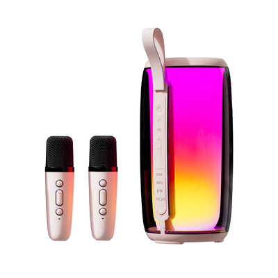 纽曼K歌音箱蓝牙双麦克风