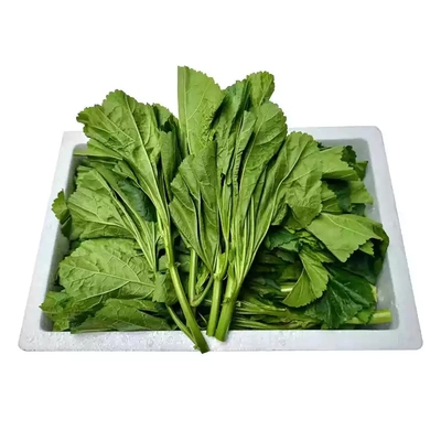 四川冬寒菜新鲜时令蔬菜嫩马蹄