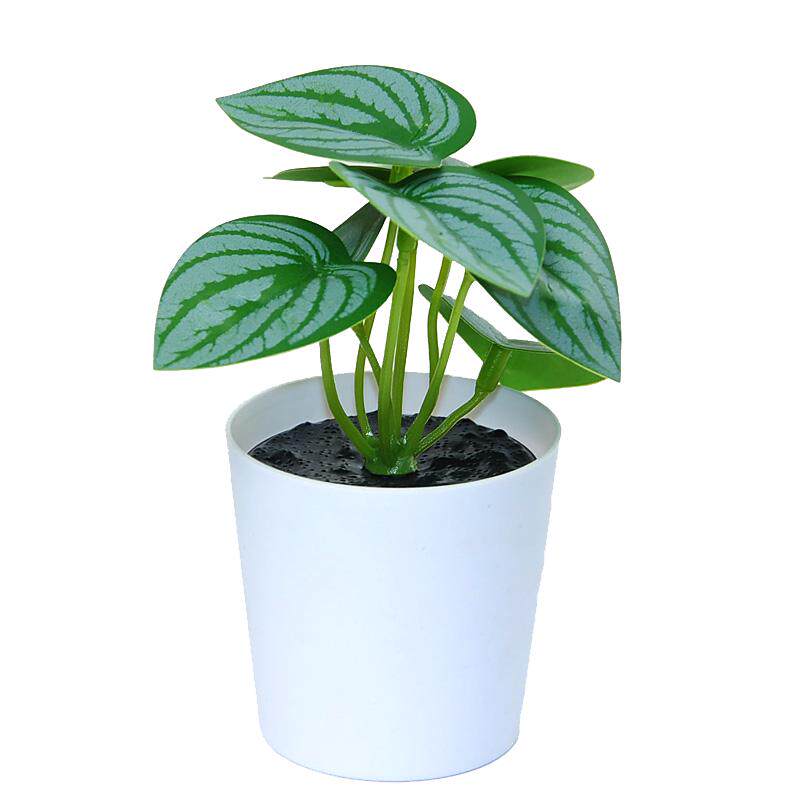 仿真植物家居迷你小盆栽绿植假