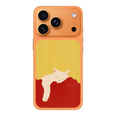 SkinAT 手机背面局部区域贴膜适用 iPhone 17 Pro /17 Pro Max痛机贴17 Pro卡片贴 卡通猫系列可爱背板贴膜