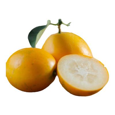 广西融安滑皮金桔纯甜不麻嘴