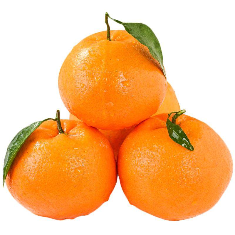 四川春见耙耙柑粑粑柑正宗水果新鲜整箱当季包邮丑桔橘10斤杷杷柑