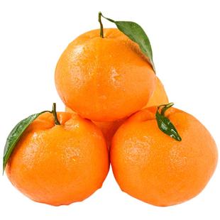 四川春见耙耙柑粑粑柑10斤新鲜水果橘子当季整箱杷杷柑丑桔子包邮