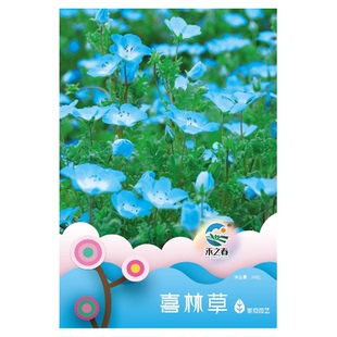 喜林草种子四季易活开花家庭室内外阳台盆栽花种孑花草植物花卉