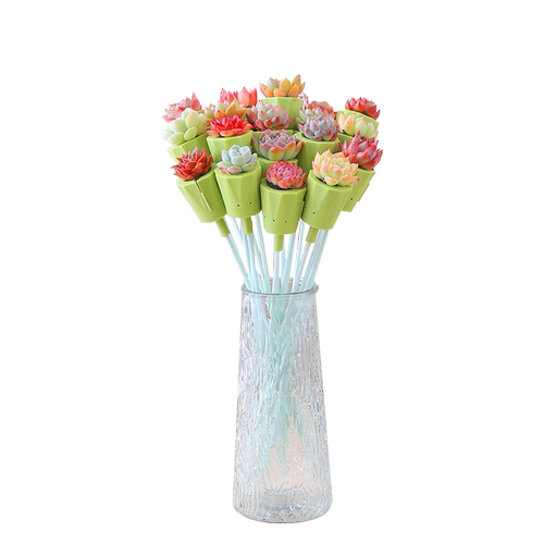 法师多肉植物花卉批发大株大颗老桩黑头大型老桩稀有花卉盆栽