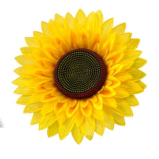 运动会开幕式入场道具向日葵手拿花幼儿园舞蹈演出表演跳舞太阳花