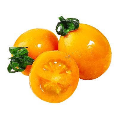 现摘现发！黄金圣女果！酸甜多汁