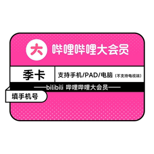 【积分加钱购】哔哩哔哩大会员季卡3个月 B站会员大会员 官方直充