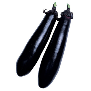 长茄子种籽种子苗圆黑紫色长茄带土嫁接茄苗四季秧苗蔬菜孑秧大全
