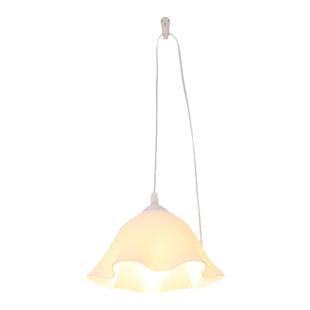 花朵插电吊灯床上灯悬挂宿舍上铺灯床头灯小夜灯挂灯寝室灯学习