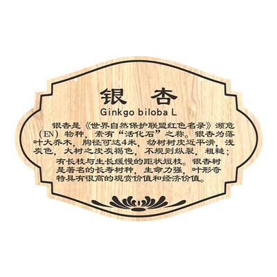 树牌挂牌diy定制植树节吊牌