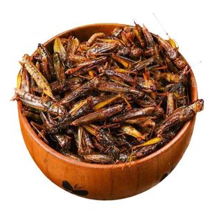 新鲜速冻蚂蚱蝗虫蚱蜢可食用冰冻带籽公母混合去翅膀一斤顺丰包邮