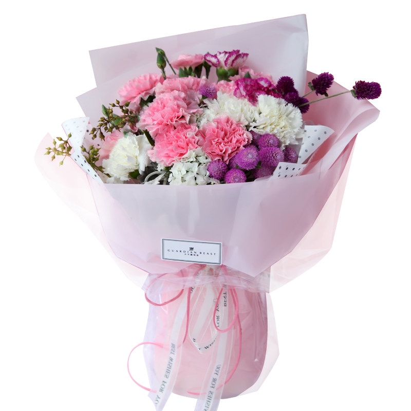 水木麟康乃馨11朵花束成都鲜花速递花同城花店生日送花上门送妈妈