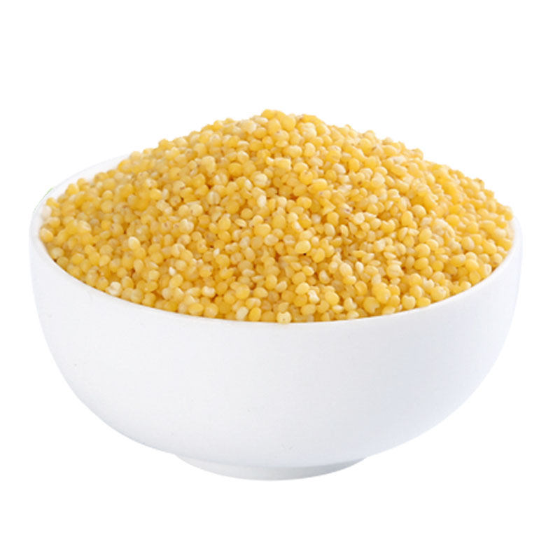 有机金苗黄小米东北农家食用新米杂粮月子米小黄米早餐米400g
