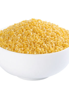 有机金苗黄小米东北农家食用新米杂粮月子米小黄米早餐米400g