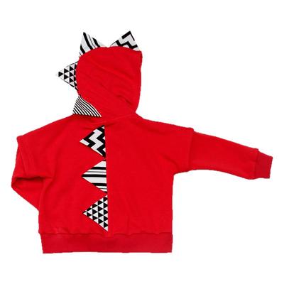 恐龙连帽卫衣外套童装