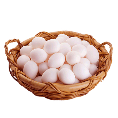 新鲜顺丰包邮鸽子蛋10枚