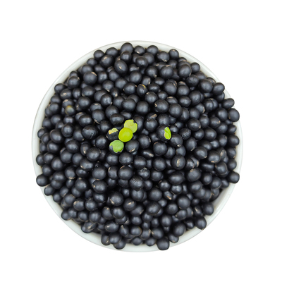 东北绿心黑豆绿芯小黑豆农家自产新货打豆浆专用新豆500g