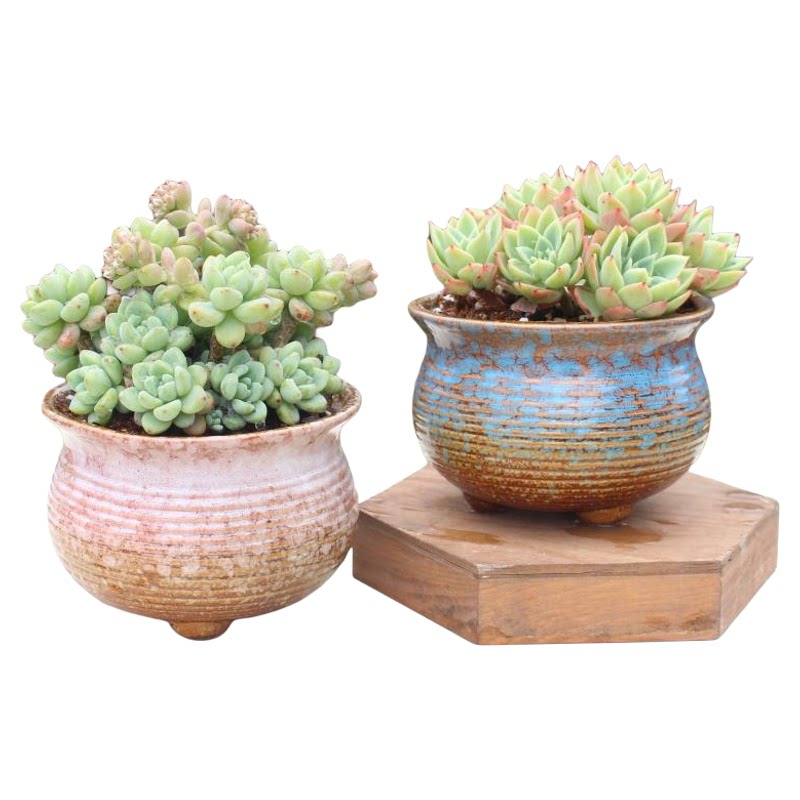 多肉花盆特价陶土家用阳台肉肉粗陶简约陶盆大小号控根陶瓷盆清仓