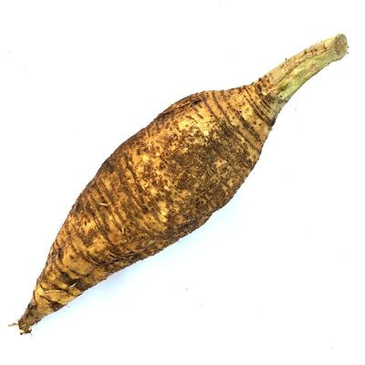 广西桂林新鲜葛根现挖现发