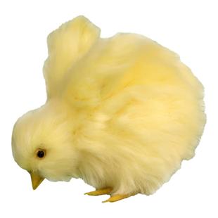 仿真小黄鸡仔模型玩偶小鸡崽玩具公仔小鸡娃道具假小鸡会叫的发声