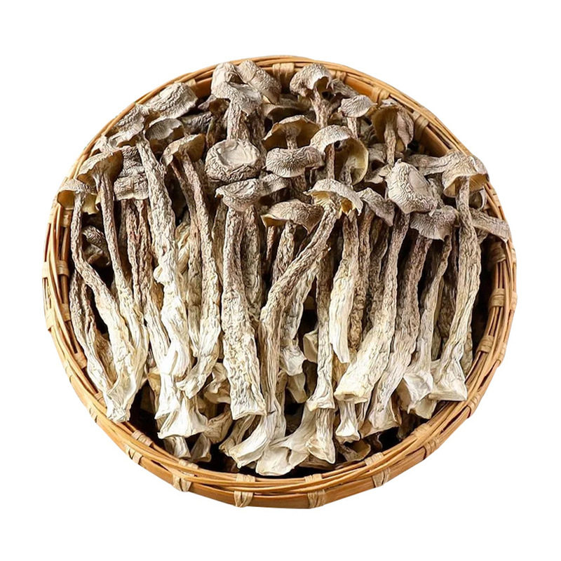 鹿茸菇整箱鹿茸菌特级菇10斤