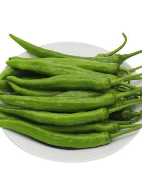 顺丰邮新鲜农家蔬菜组合搭配青菜