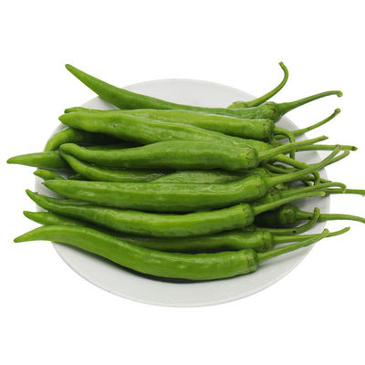 顺丰邮新鲜农家蔬菜组合搭配青菜