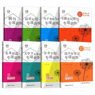 2025初中语文基础知识专项训练七八九年级词语运用病句修改字音字形名句名篇名著阅读文学文化句子训练人教版知识点重点难点详解析