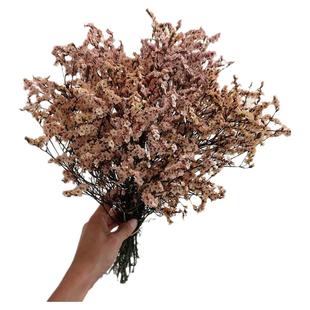 天然水晶草长枝干枝梅混搭花束永生花材料包家居装饰花大束