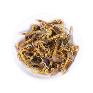 全蝎中药材100克 蝎子中药材 蒙山全蝎干清水全蝎 中华小钳蝎正品