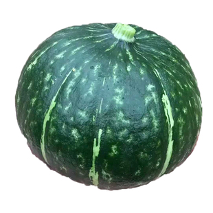 谢花面南瓜种子老品种东北窝瓜种籽肉厚甜面绿皮黄肉瓜果种孑籽种