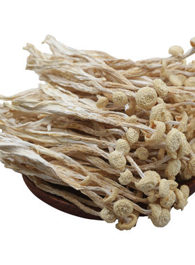 白玉菇海鲜菇野生菌特级500g干货
