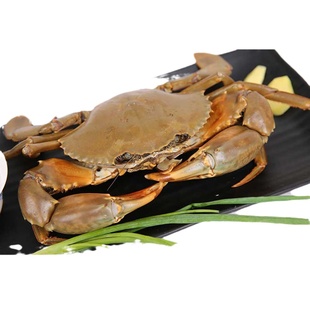三门青蟹鲜活特大超大青蟹2只公蟹重达2斤半鲜活螃蟹海鲜水产海蟹