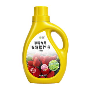 草莓营养液专用肥植物水培家用农家阳台盆栽肥料蔬菜水果绿植通用