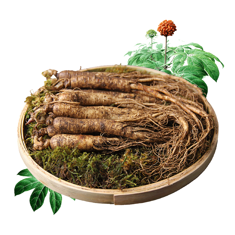 500克长白山整支人参白参生晒参野山参人叁花鲜东北人参片泡酒料 大白菜抄底购 Powered By Www Yangtata Com 99hg皇冠国际娱乐平台