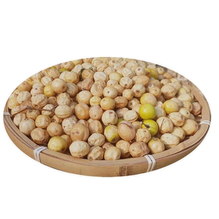 野生苦楝豆楝豆楝子豆楝树豆苦楝树豆苦楝子苦楝籽苦楝树子