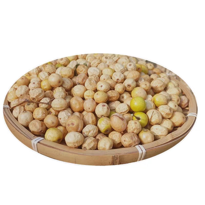 野生苦楝豆豆籽中药材