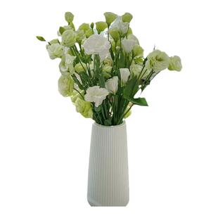 洋桔梗鲜花白绿粉紫香槟冰淇淋水养真花云南昆明斗南花市基地直发