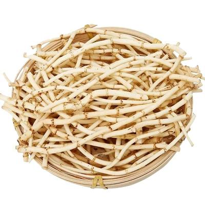 新鲜鱼腥草现摘折耳根嫩根当季时令蔬菜凉拌猪鼻孔农家特产