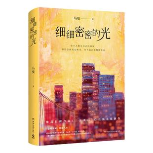 细细密密的光 马曳2022年现实主义长篇情感小说力作 书写世人眼中精英人群的世故人情、悲欢离合，幽默还原真实生活的本貌