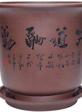 君子兰花盆紫砂发财树陶瓷花盆