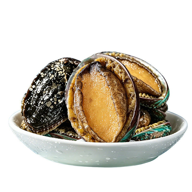 海文铭带壳大鲍鱼新鲜冷冻500g