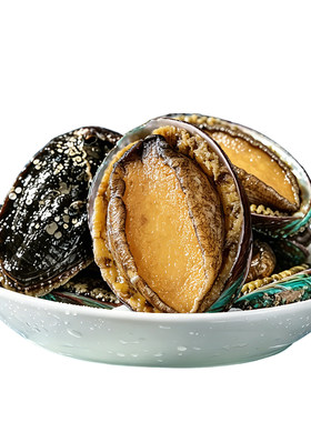 海文铭带壳大鲍鱼新鲜冷冻500g