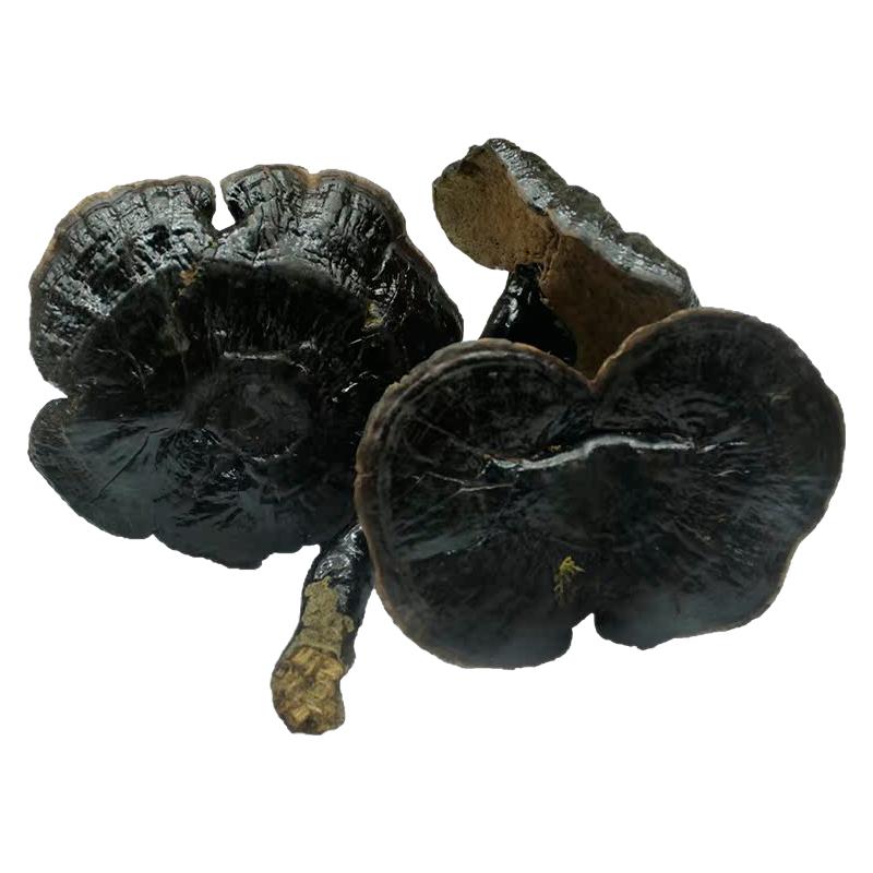 黑灵芝仿野生正品新鲜中药材切片