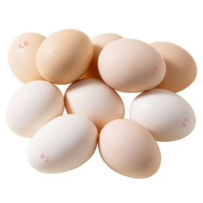 筱诺正宗农家无抗蛋25枚新鲜谷物鲜蛋健康营养新鲜现捡谷物喂养