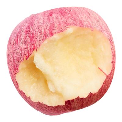 烟台红富士201脆甜苹果树苗嫁