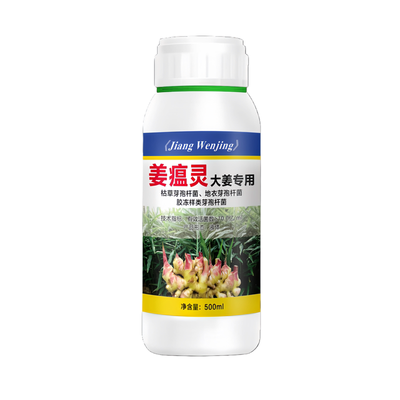 大姜生姜姜瘟病专用药姜瘟净